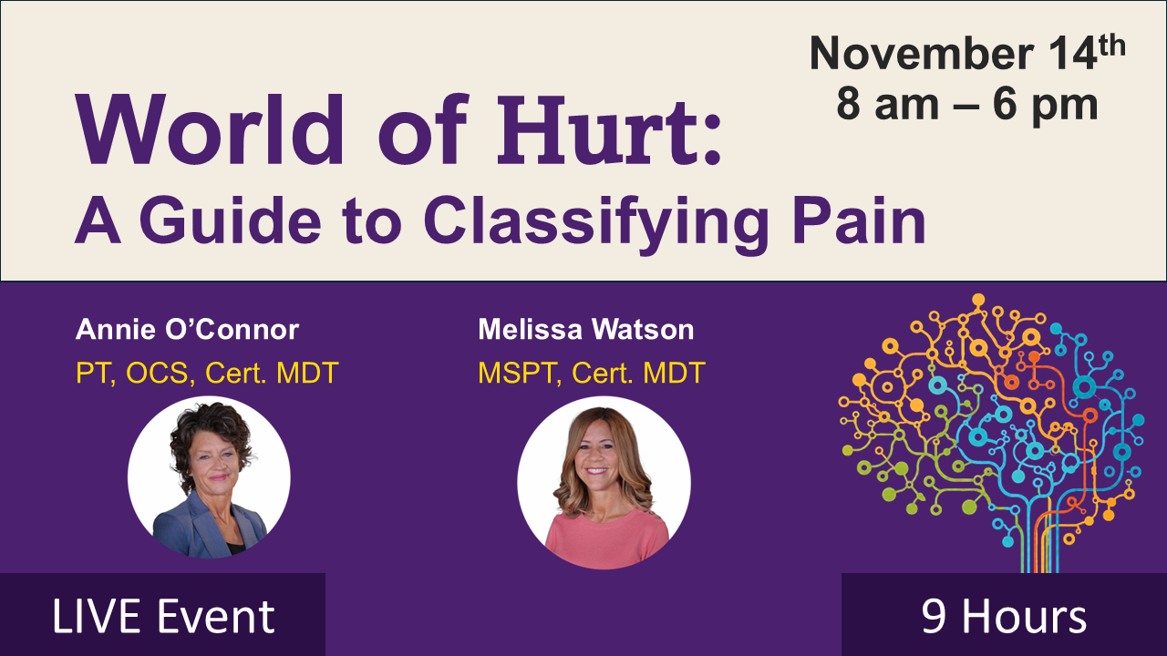 A World of Hurt: A Guide to Classifying Pain